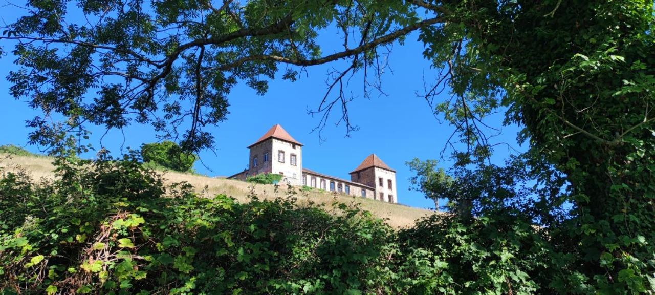 Chateau De Gorze Germolles-sur-Grosne 外观 照片